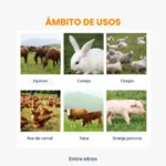 PICADORA DE FRUTAS Y VERDURAS TIPO BALDE - Imagen 7