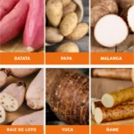 PICADORA DE TUBÉRCULOS - Imagen 8