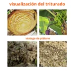 PICADORA VASTAGO DE PLATANO - Imagen 8