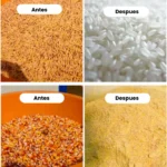 PILADORA DE ARROZ DOBLE PROPOSITO - Imagen 8