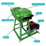 PICAPASTO 4 CUCHILLAS, CON BANDA TRASPORTADORA 400-800 KG/H - Imagen 2