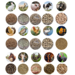 LÍNEA DE PRODUCCIÓN PARA LA FABRICACIÓN DE PELLETS CON PELETIZADORA, TUBO TRANSPORTADOR, MEZCLADORA DE ALIMENTOS - Imagen 8