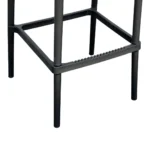 1737A - TABURETE MASTER - Imagen 7