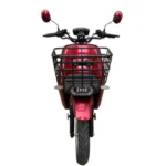 BL-Mini Bicicleta Eléctrica - Imagen 6