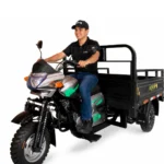 MOTOCARRO AY200ZH - Imagen 2