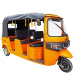 BENLG-DUDU Electric Tricycle