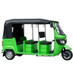 BENLG-DUDU Electric Tricycle - Imagen 2