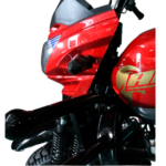 MOTOCARROPLATON AY300ZHS - Imagen 2