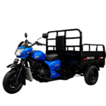 MOTOCARRO VOLQUETA AY300ZHV - Imagen 8