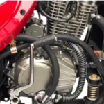 MOTOCARRO AY200ZH-2 - Imagen 4