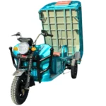 Trimoto Eléctrica C1 - Imagen 2