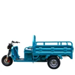 Trimoto Eléctrica C1 - Imagen 7