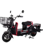Moto Electrica Hercules - Imagen 5