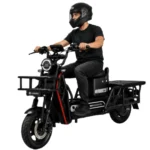Moto Electrica Hercules - Imagen 6
