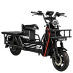 Moto Electrica Hercules